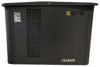 Газовый генератор CTG CG18000SA 