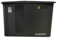Газовый генератор CTG CG18000TSA 