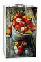 Газовый проточный водонагреватель Lenz Technic 10L BERRY